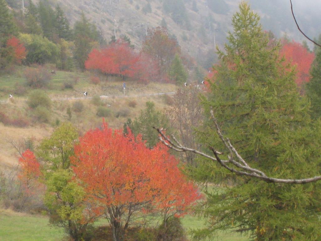 Hotel Villa Plinia Pragelato Luaran gambar